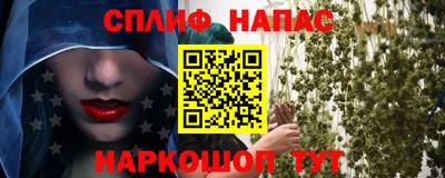 эйфоретик Тара