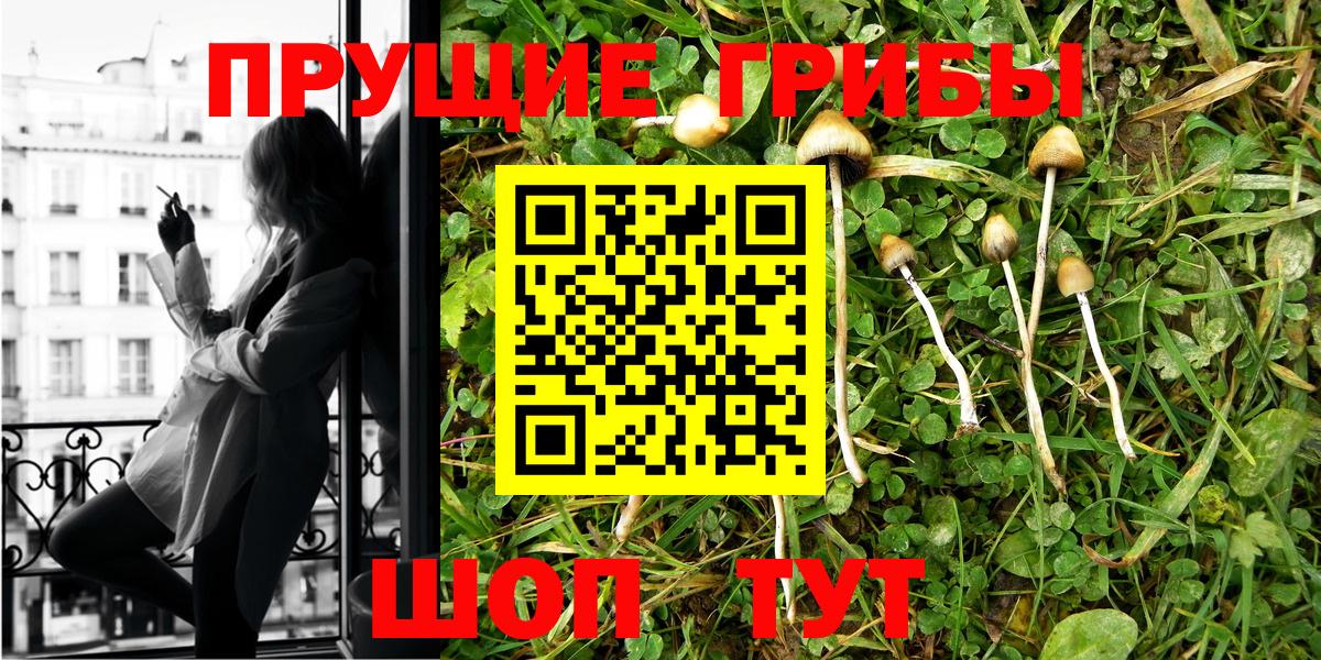 Псилоцибиновые грибы Psilocybine cubensis Мирный